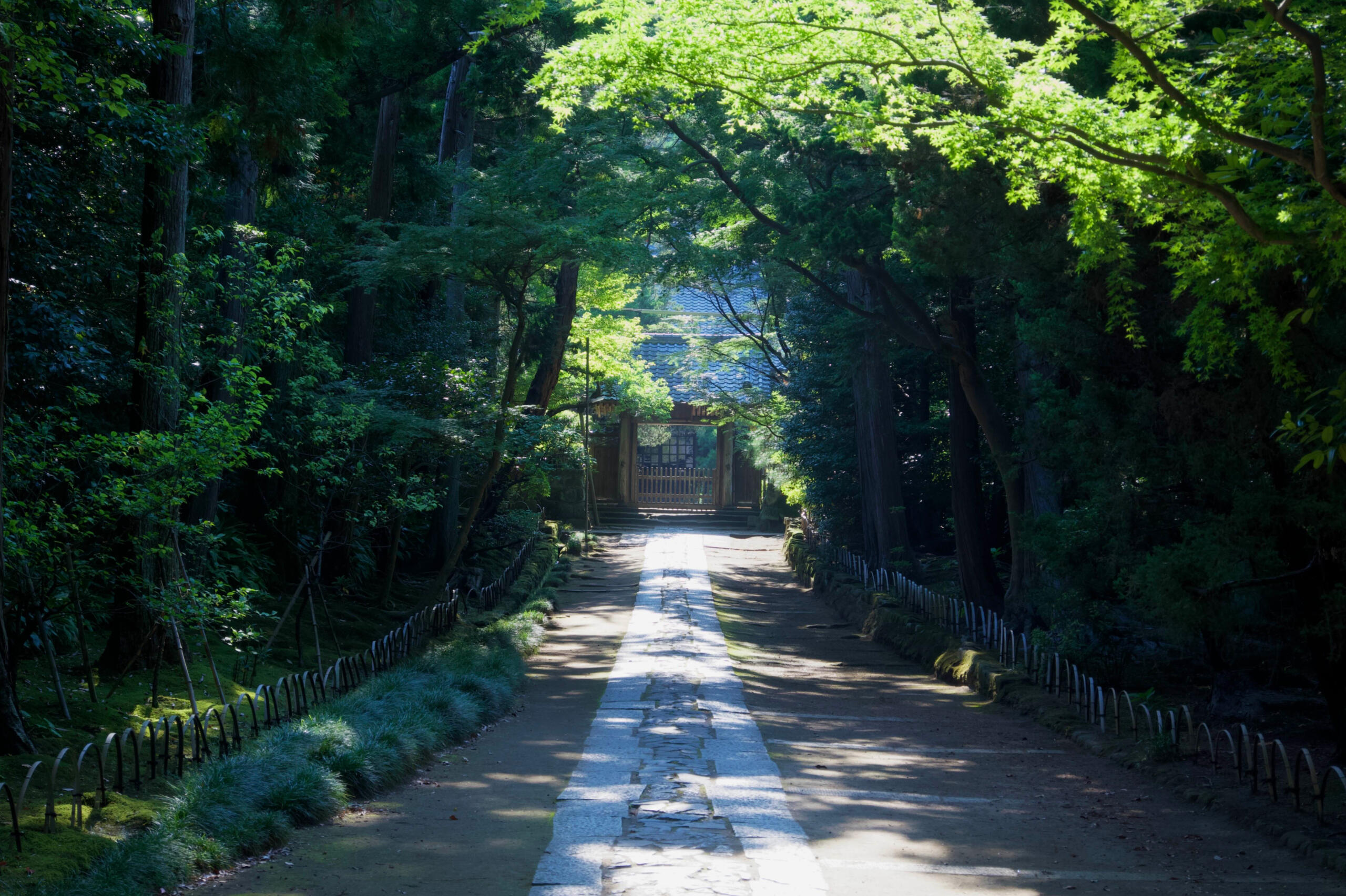 #5 Kamakura