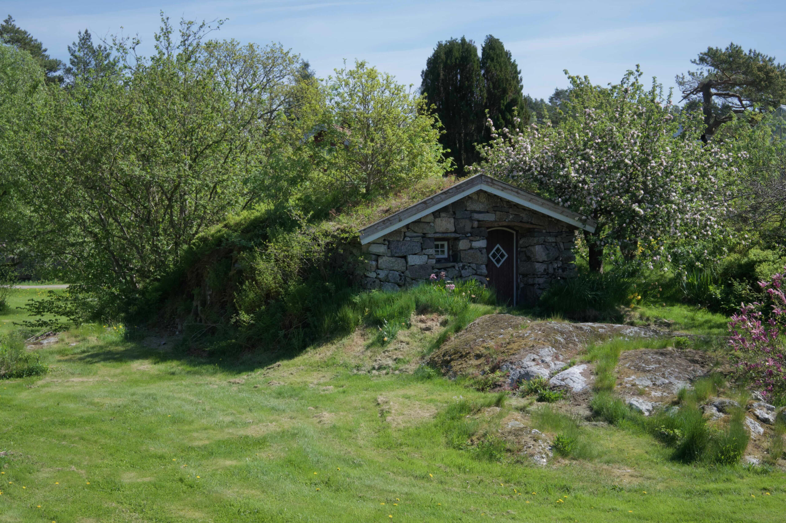 #7 Weather the Winter for the Spring