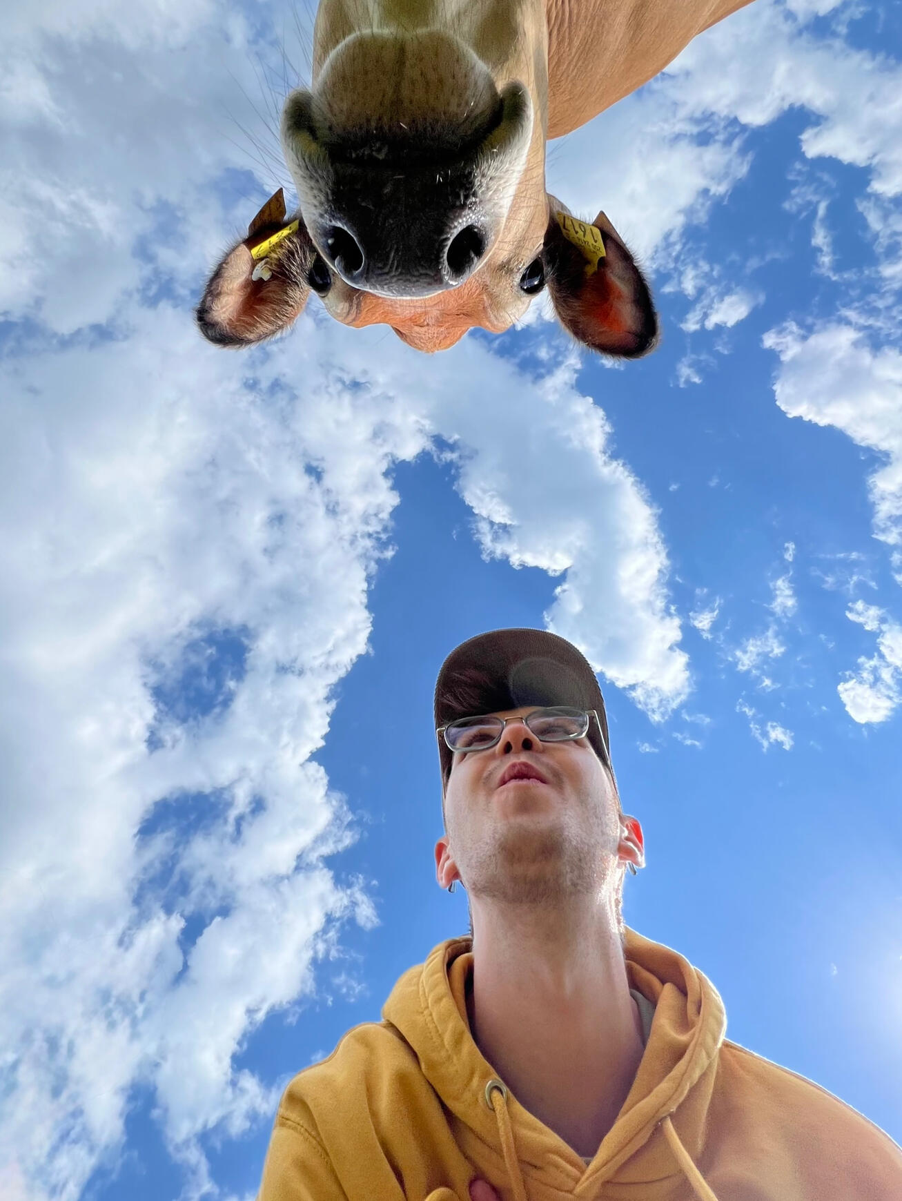 #4 Self portrait with a cow