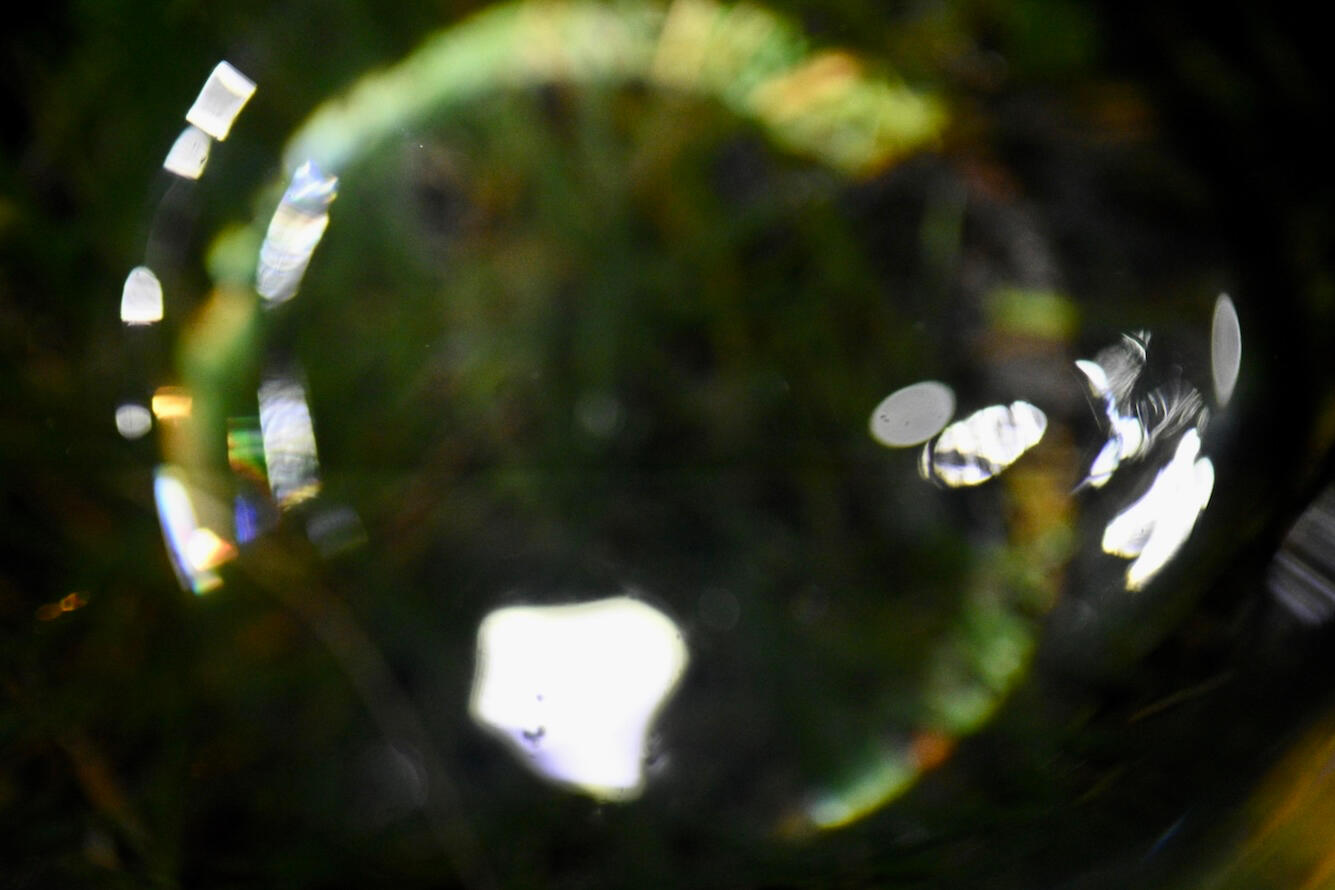 #3 Take a closer look