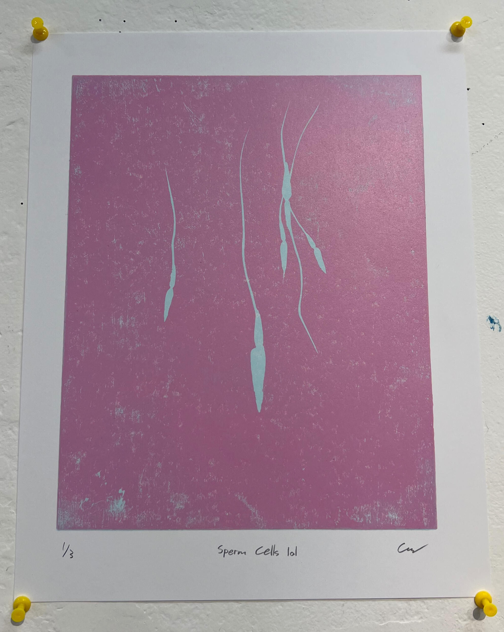 #3 Sperm Cells lol